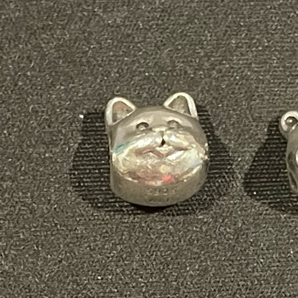 Pandora Cat